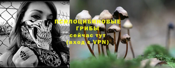 сатива Пролетарск