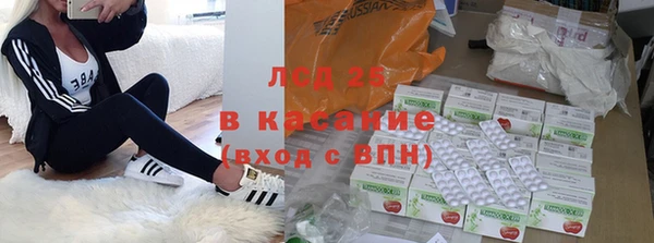 сатива Пролетарск