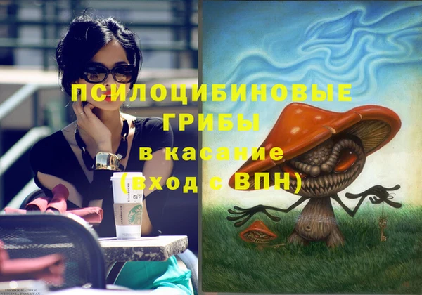 сатива Пролетарск