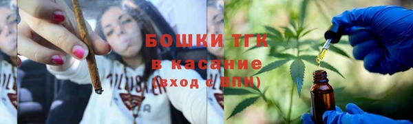 сатива Пролетарск