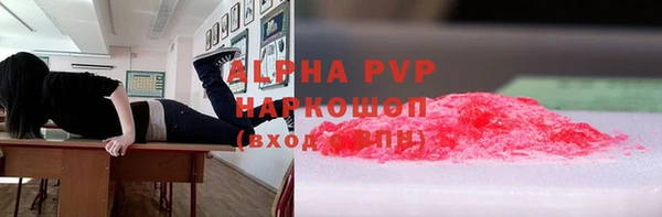 сатива Пролетарск