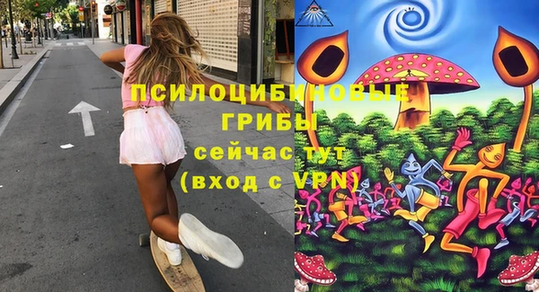 MDMA Приозерск