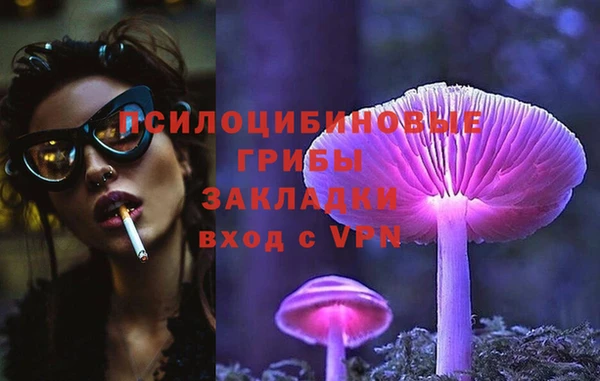 сатива Пролетарск
