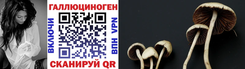 дарнет шоп  Туапсе  Псилоцибиновые грибы прущие грибы 