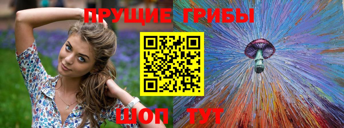 Туапсе  Псилоцибиновые грибы прущие грибы  где найти наркотики  Вход с VPN 