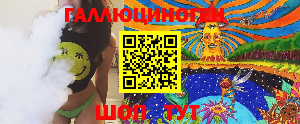 Псилоцибиновые грибы Psilocybine cubensis Туапсе