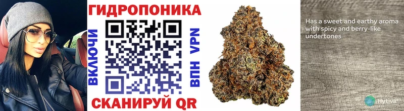 продажа наркотиков Туапсе МАРИХУАНА ГИДРОПОН